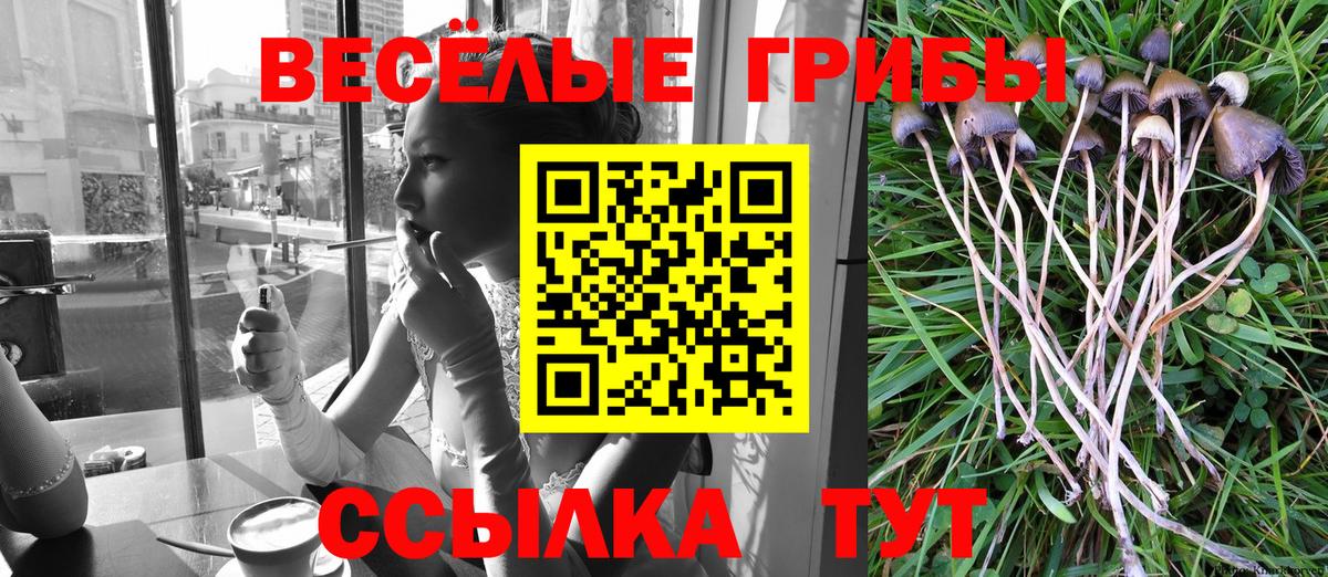 Галлюциногенные грибы MAGIC MUSHROOMS  Вход с VPN  Галлюциногенные грибы мицелий  Кубинка 